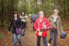 2010 Wandeling Overpelt