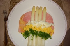 2011 Aspergefestijn