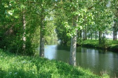 DSC03203