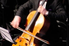 IMG_8461