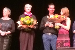 2014 Culturele huldiging
