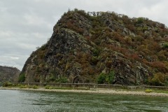 DSC04553