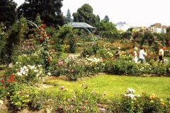PICT0007