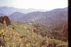 PICT0144