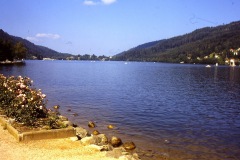 PICT0155