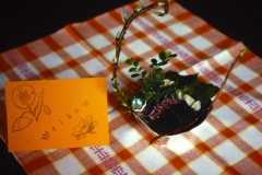 PICT0282