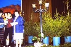 PICT0290